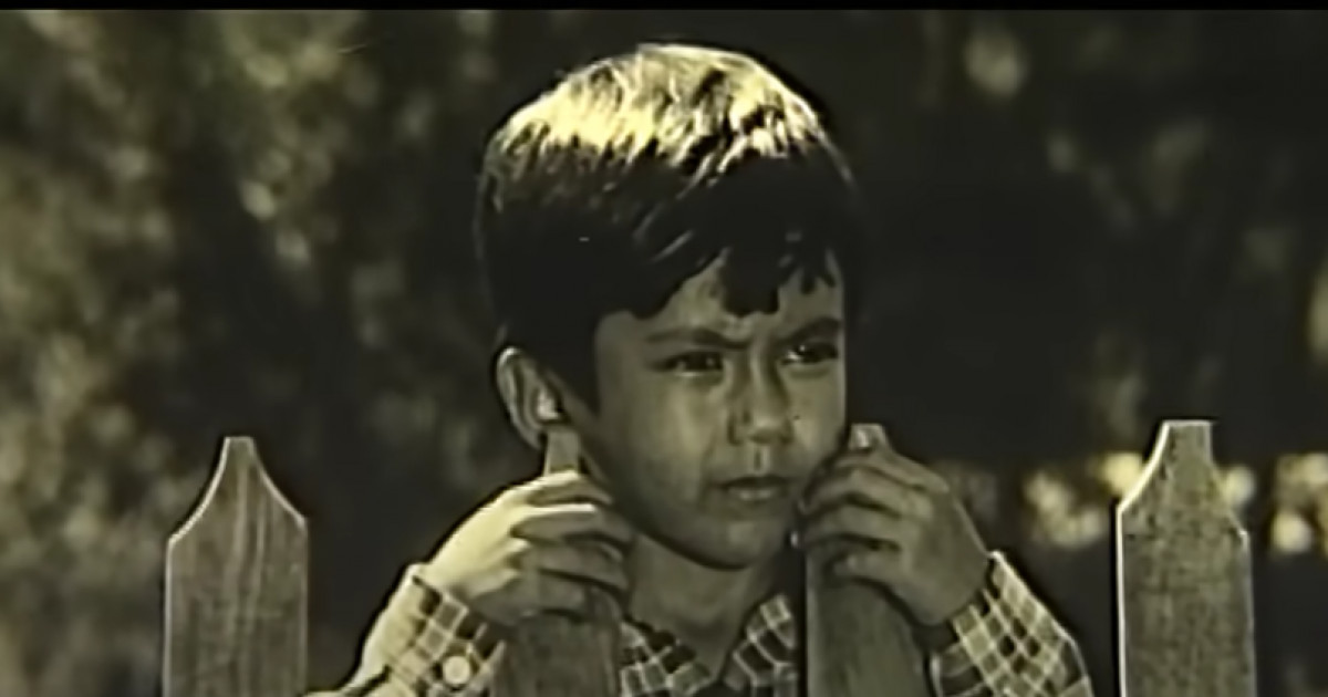 «Алты жасар Алпамыстың» кейінгі өмірі қандай болды?