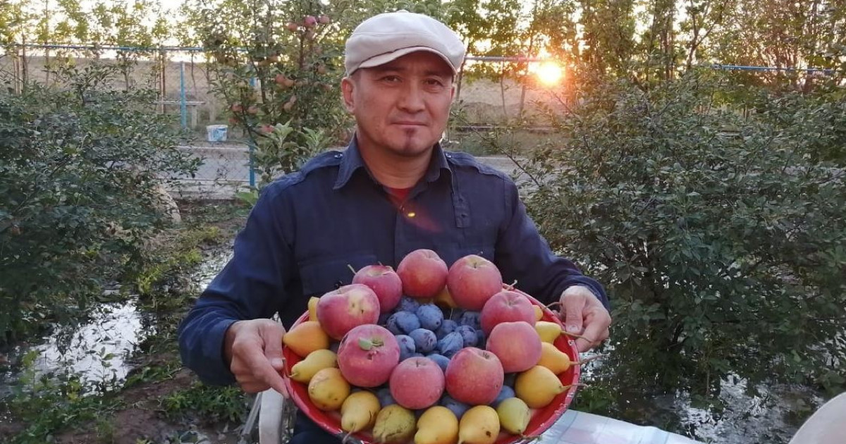 Қайрат Сәрсенов, бағбан: Кішкене қадамдар үлкен жақсылыққа айналады