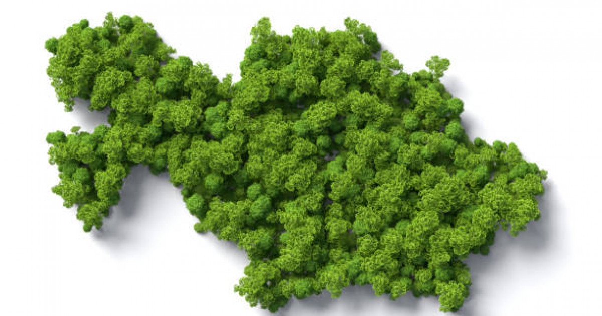 Қоршаған ортаны қорғау: 2025 жылға дейінгі экологиялық саясаттың нәтижелері жарияланды