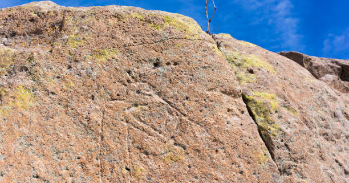 Қызылорда және Түркістан облыстарынан 17 мың петроглиф табылды