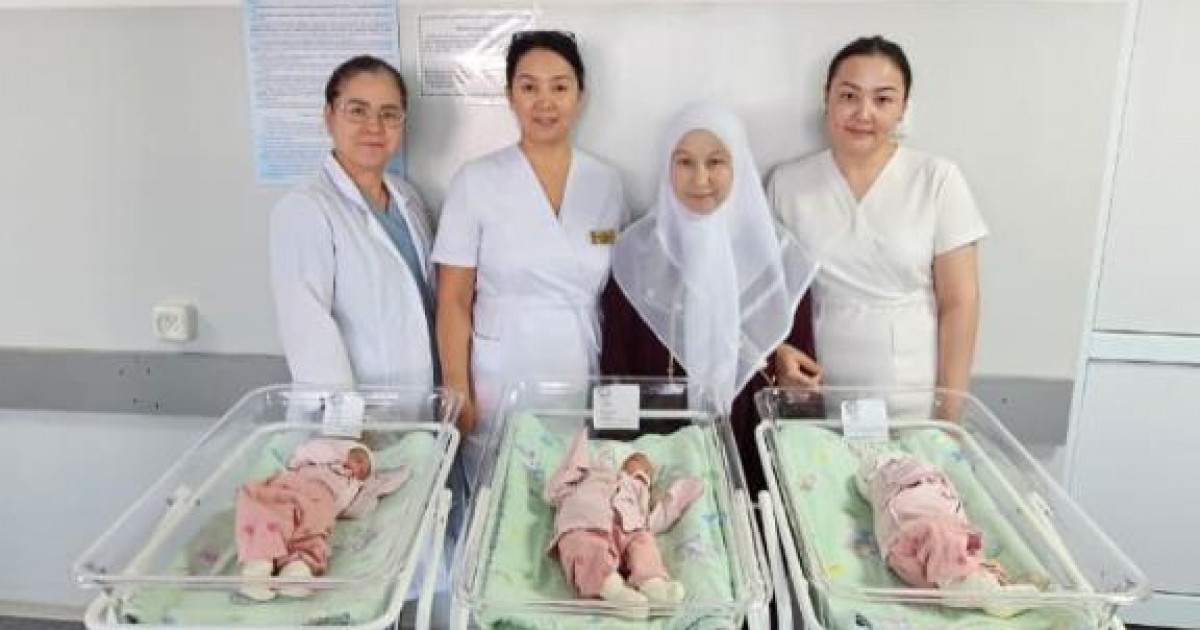 Шымкентте туған үшемдер үйіне шығарылды