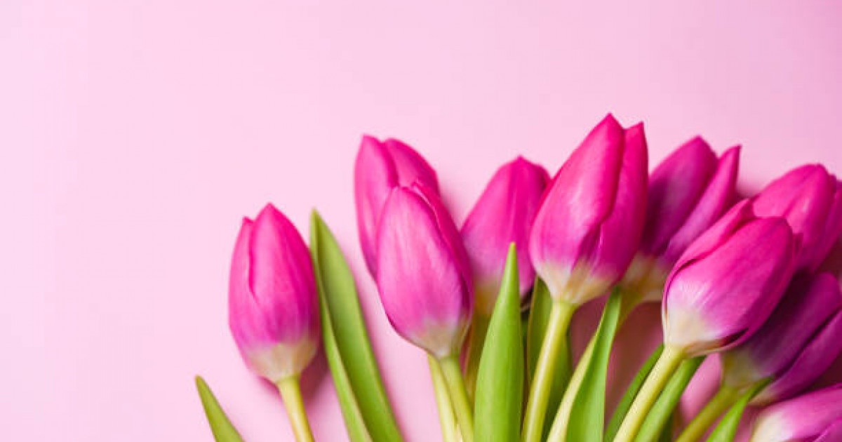 8 наурыз қарсаңында 9 мыңнан астам көпбалалы анаға әлеуметтік төлем беріледі