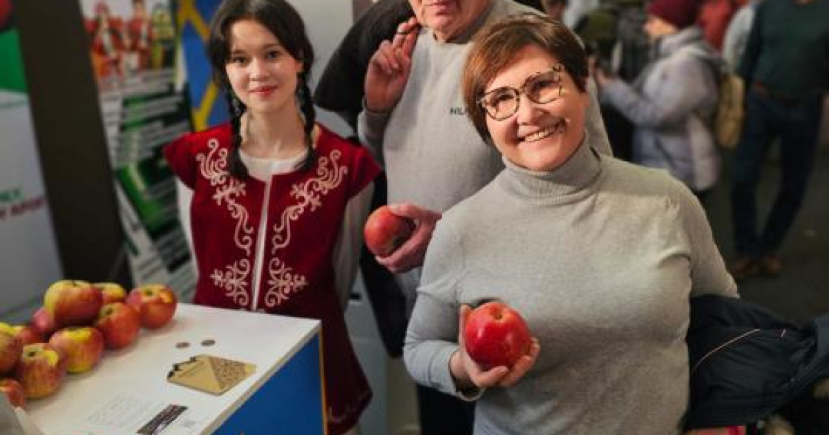 Алматы апорты экспортқа шығады