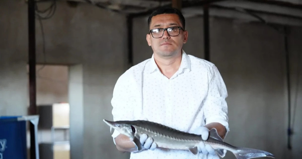 «Ауыл аманаты»: Қызылордалық кәсіпкер заманауи технологиямен ауылда балық өсіріп отыр