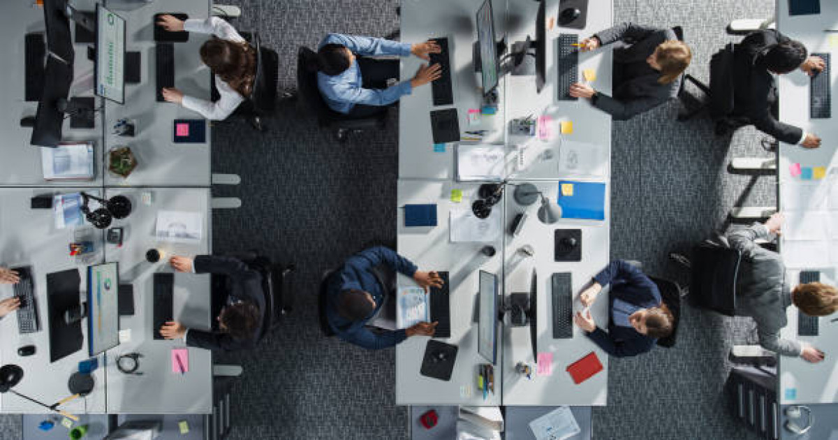 Биыл 547 мың адам жұмыспен қамтылады — Үкіметте маңызды шешімдер қабылданды