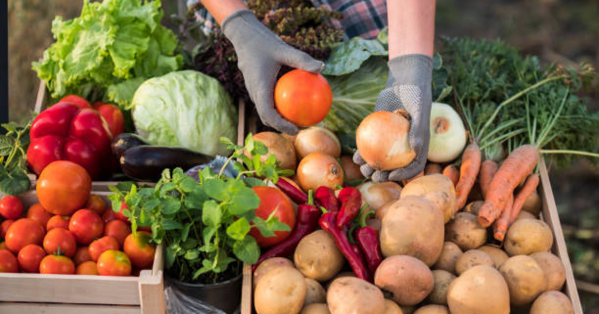Демалыс күнгі жәрмеңкелерге тұрақтандыру қорының өнімі шыға бастады