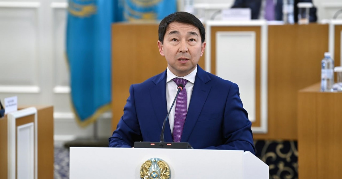 Конституциялық комиссия жаңа Ата Заңда волонтерлік қызмет мәртебесін бекітуді қолдады