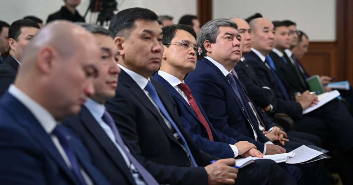 Президент Үкіметке үй шаруашылықтарының әлеуметтік цифрлық профилін қалыптастыруды тапсырды