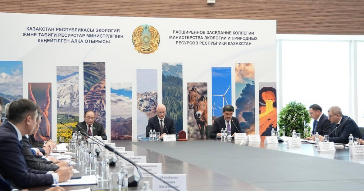 Жасанды интеллект арқылы орманды бақылайды