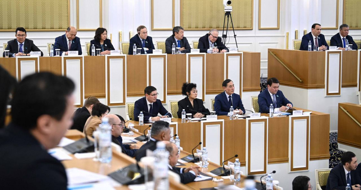 Жаңа Конституция жобасында теңге мәртебесі конституциялық тұрғыда бекітіледі — Бақыт Нұрмұханов