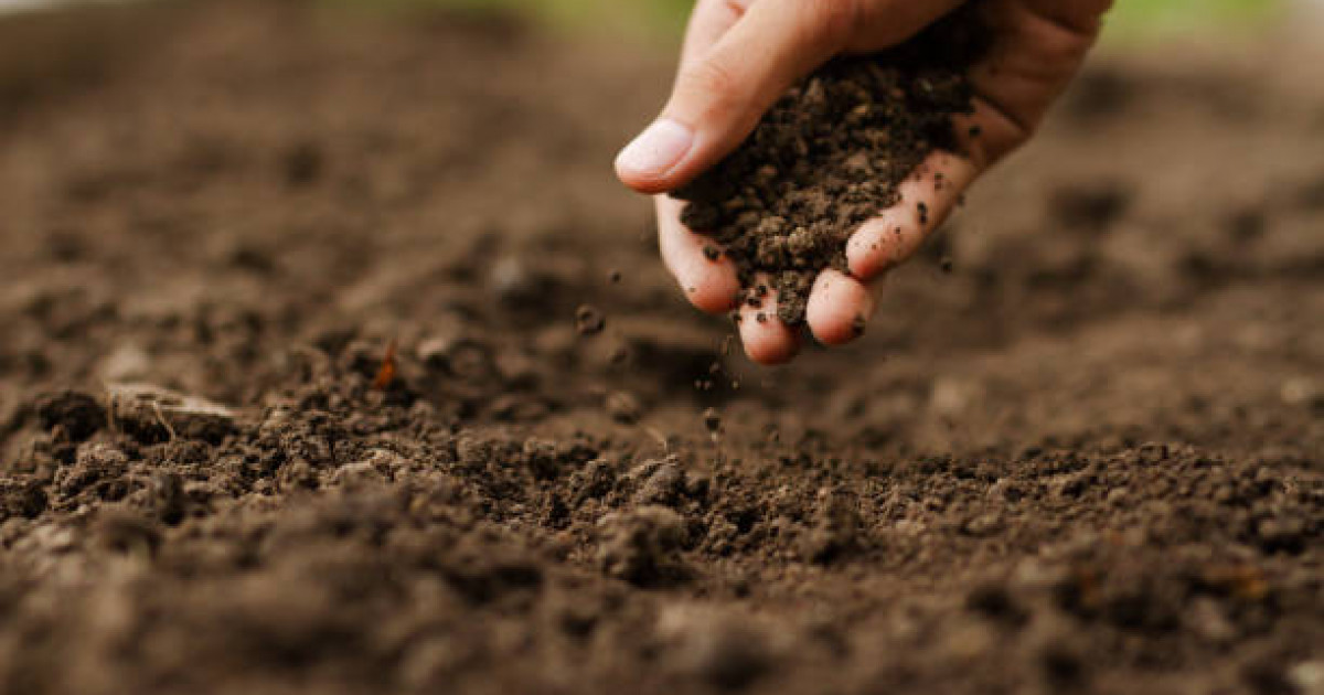 Жері көп шаруаларға мал шаруашылығымен айналысу міндеттеледі