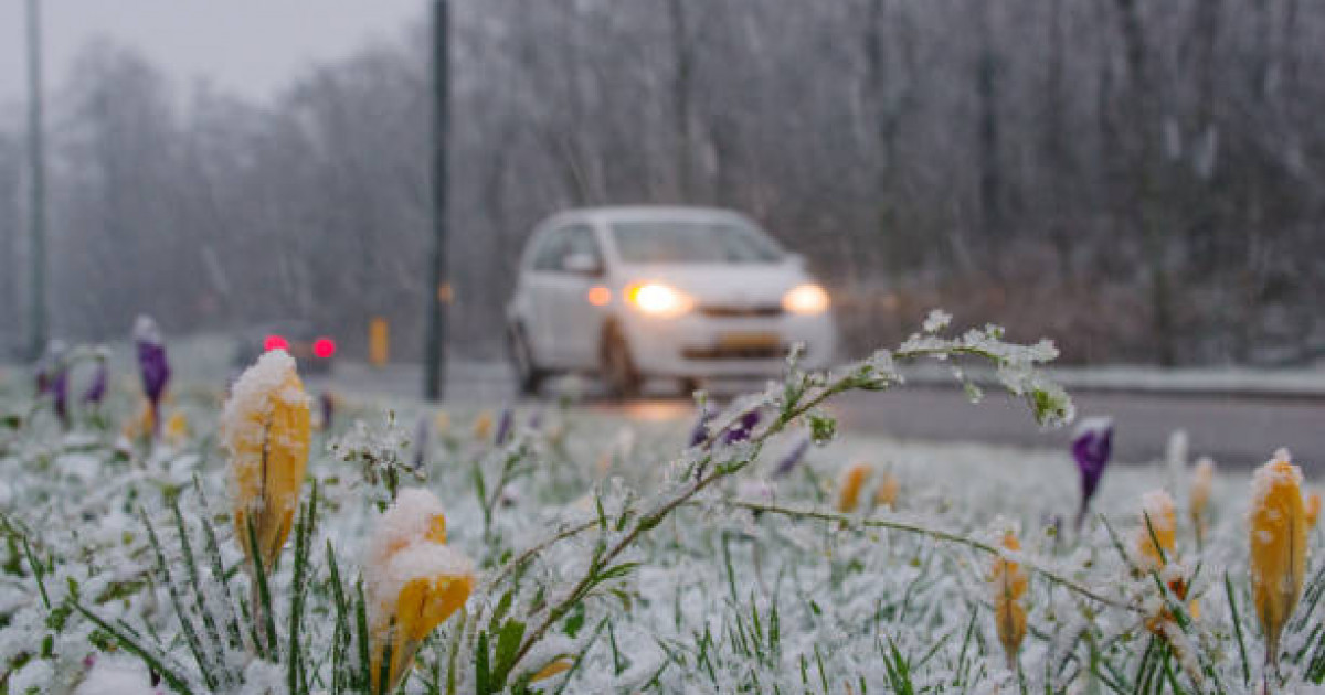 22 наурызға арналған ауа райы: Қазақстанның үш өңірінде құбылмалы жағдай күтіледі