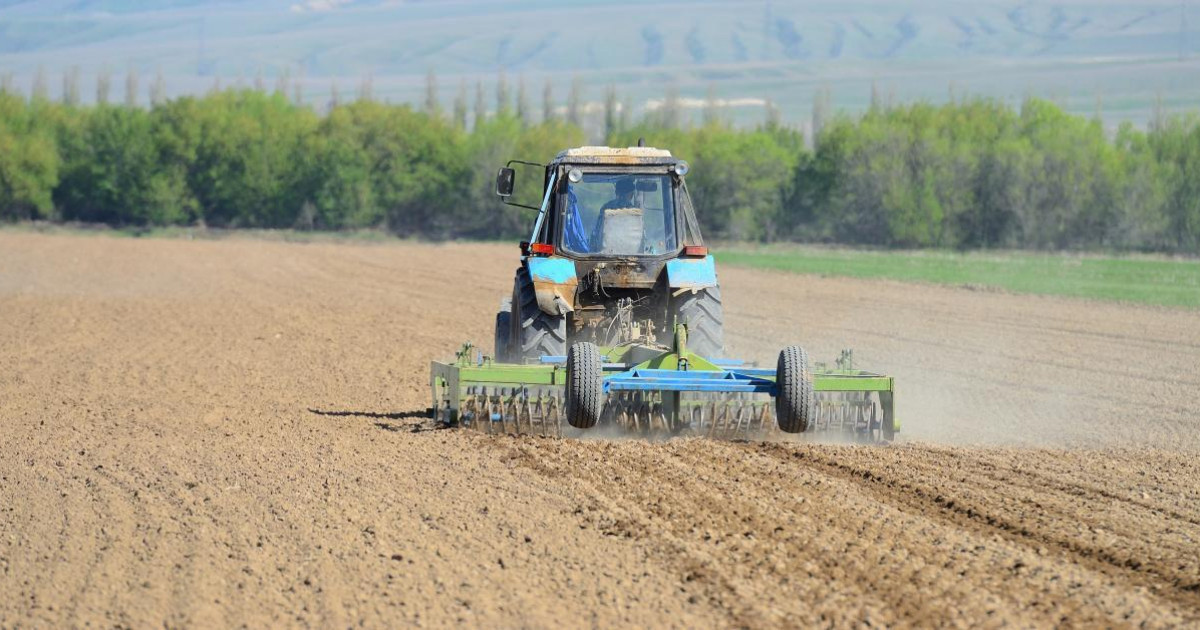 3 287 аграрлық сала өкілдері егіс науқанына ерте қаржыландыруға қол жеткізді