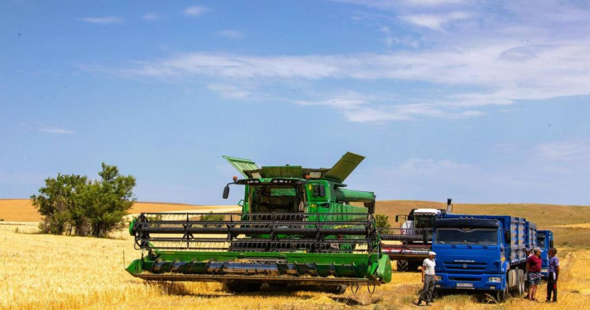 7 жыл ішінде Қазақстандағы ауыл шаруашылығы өндірісінің көлемі екі есеге жуық артты