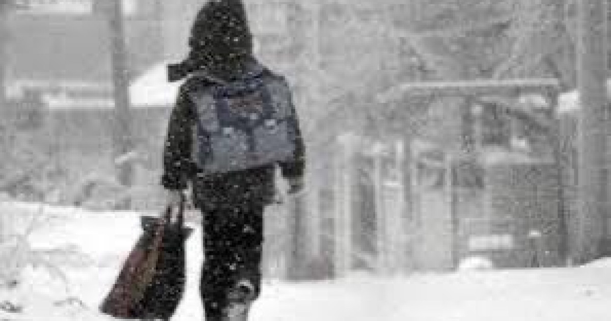 Астанада екінші ауысымдағы 0-6-сынып оқушылары қашықтан оқыту форматына ауыстырылады