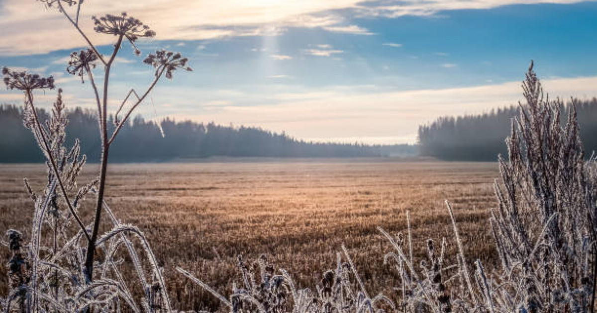 Бүгін Қазақстанның басым бөлігінде жауын-шашынсыз ауа райы күтіледі