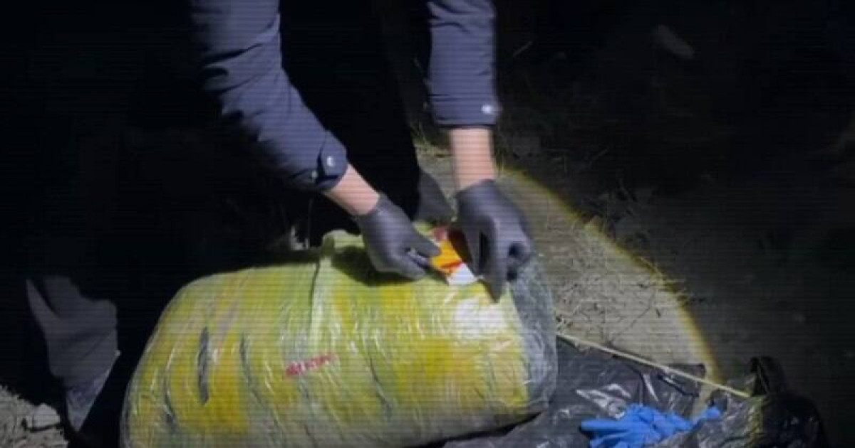 Ірі есірткі жеткізу арнасы жойылды