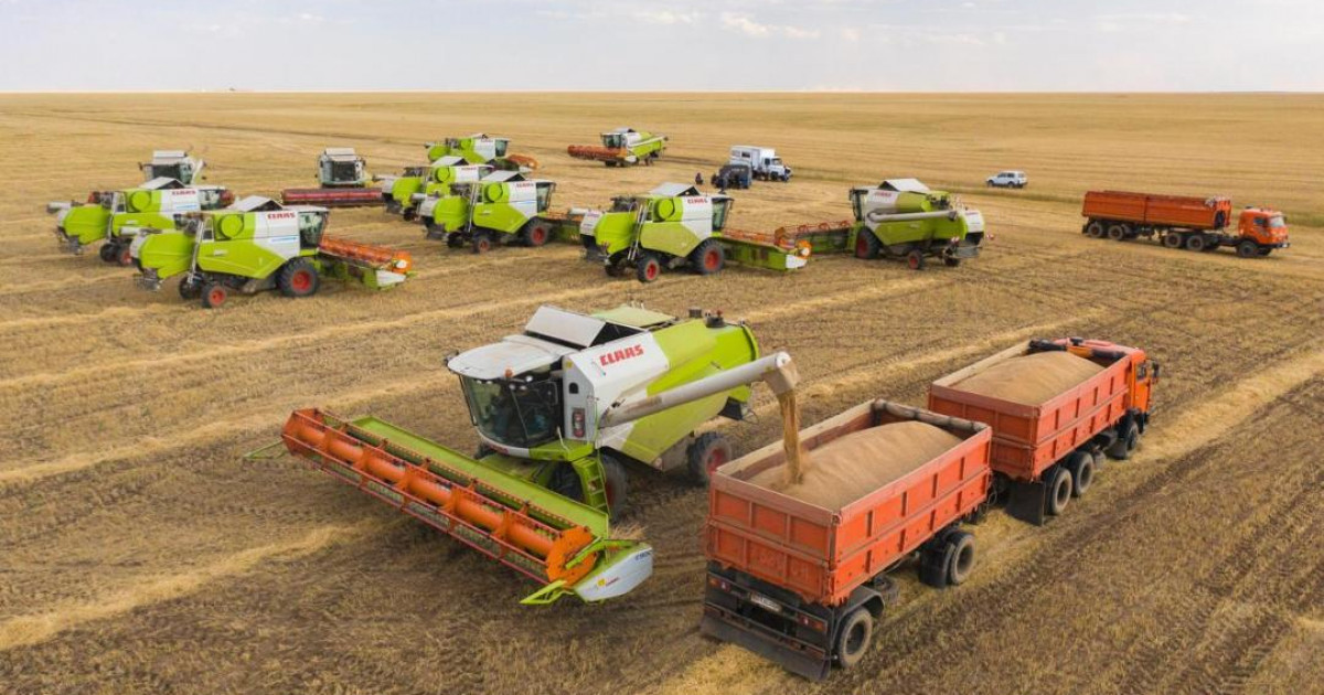 Қазақстан былтыр астық пен ұн экспортын 60%-ға арттырды