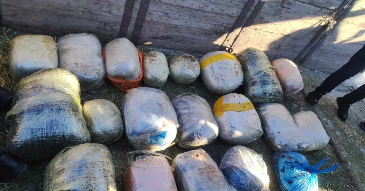 Қостанай облысында 200 келіден астам есірткі тәркіленді