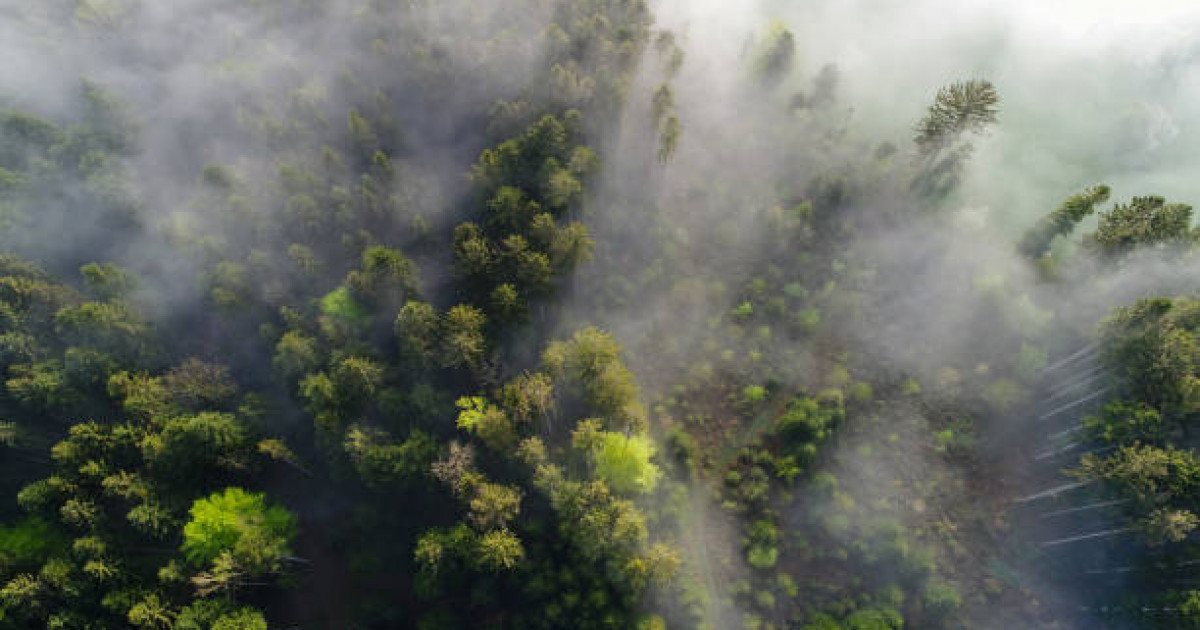 Республика бойынша тұман болуы ықтимал