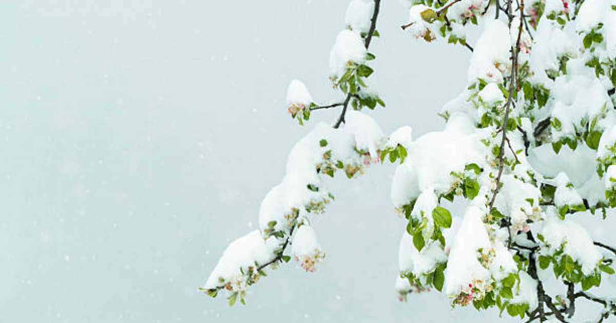 Солтүстік және шығыс өңірінде ауа райы күрт нашарлайды