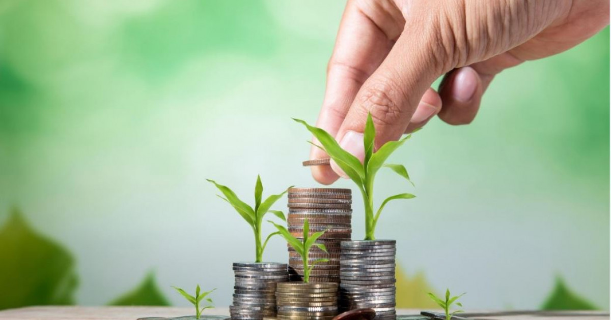 Субсидия: неден ұттық, неден ұтылдық?