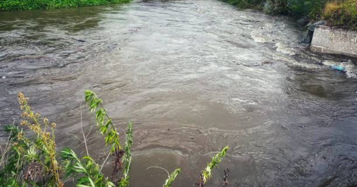 Түркістанда Келес өзеніне батып кеткен 8 жастағы баланы әлі іздеп жатыр