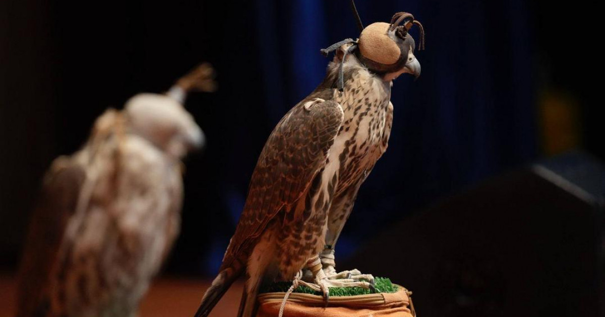 Жетісу өңірінде ителгіні табиғи ортаға қосу іс-шарасы өтті