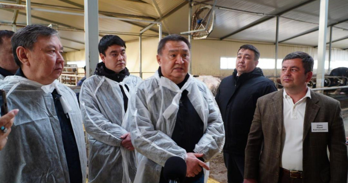 Ақмола облысында 400 басқа арналған заманауи сүт-тауар фермасы іске қосылды