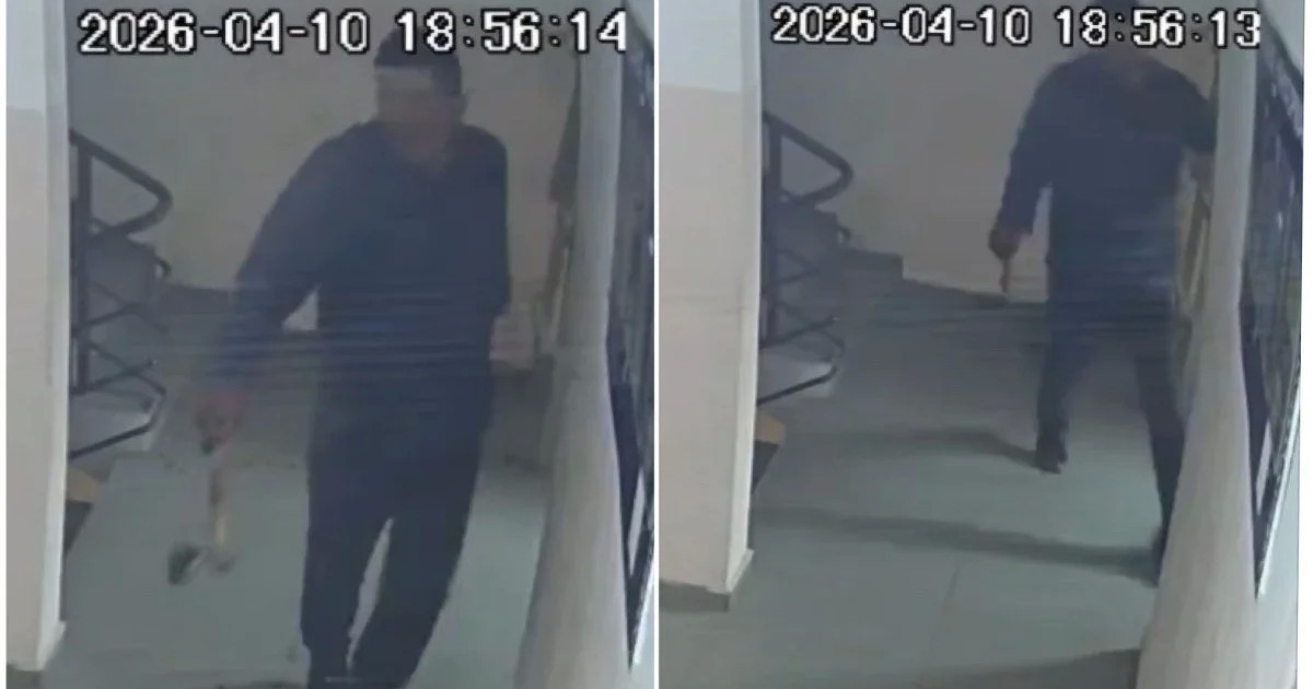 Астанада подъезде балта ұстап жүрген ер адам 15 тәулікке қамалды