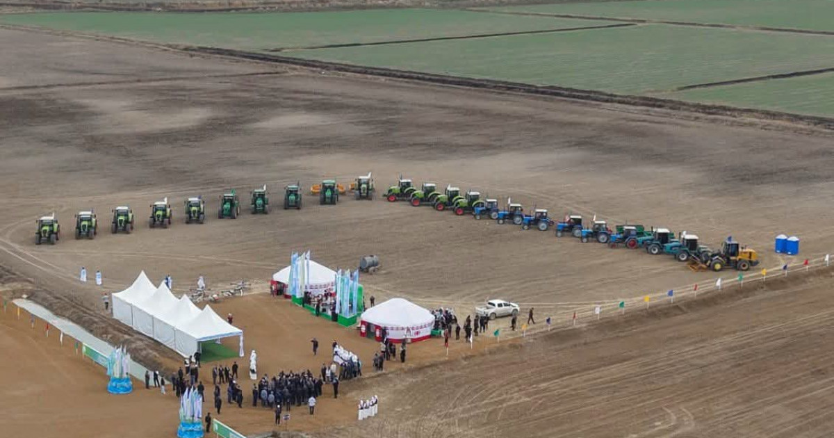 Дала күні: Сыр диқандары дән себу науқанын бастады