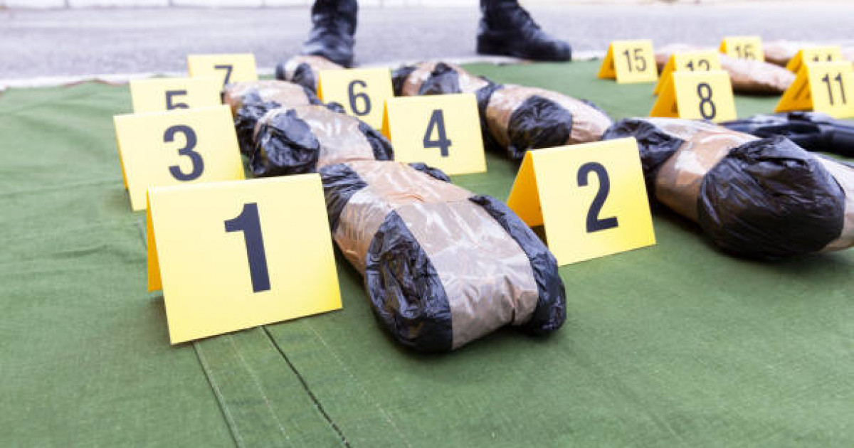 Грузияда есірткі таратты деген күдікпен Қазақстан азаматы ұсталды