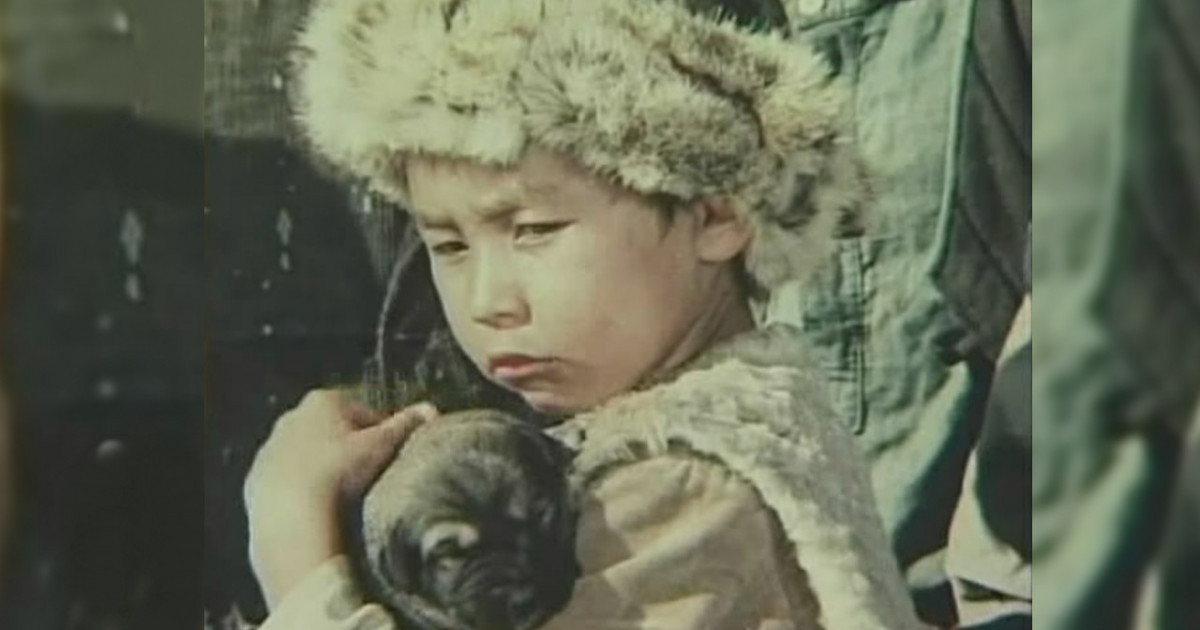 «Менен де зорлар өтті ғой, сый көрмей»: «Көксеректегі» Құрмаш баланың қиын тағдыры жайлы білесіз бе?