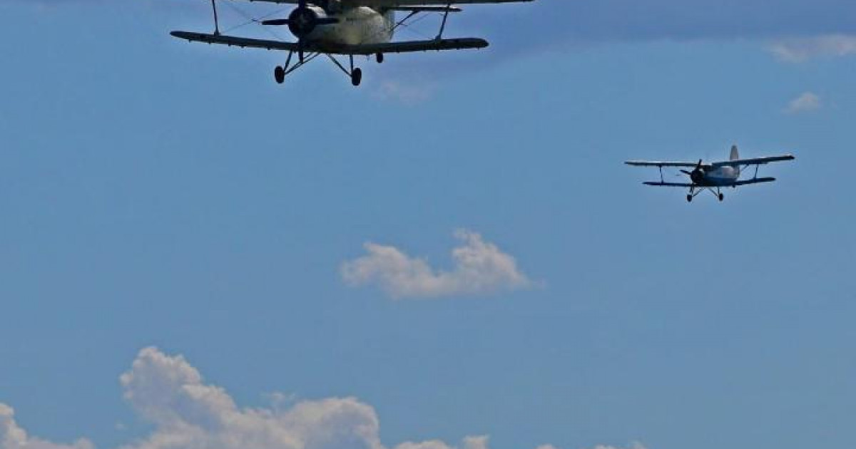 Павлодар облысында шыбын-шіркейге қарсы ауқымды өңдеу жұмыстары басталады