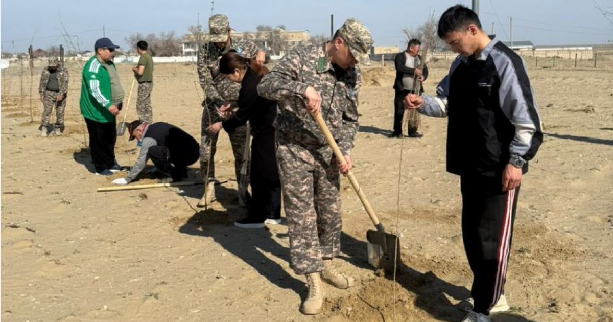 Тұран тәлімбағы