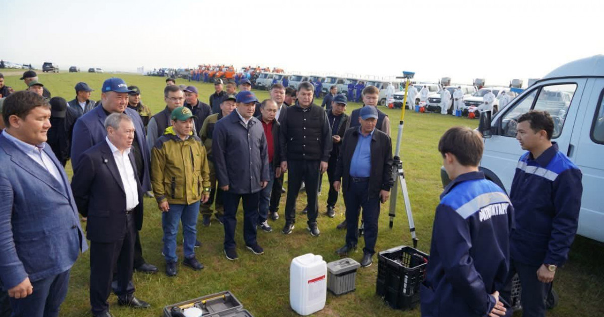 Түркістан облысында шегірткеге қарсы күрес күшейді