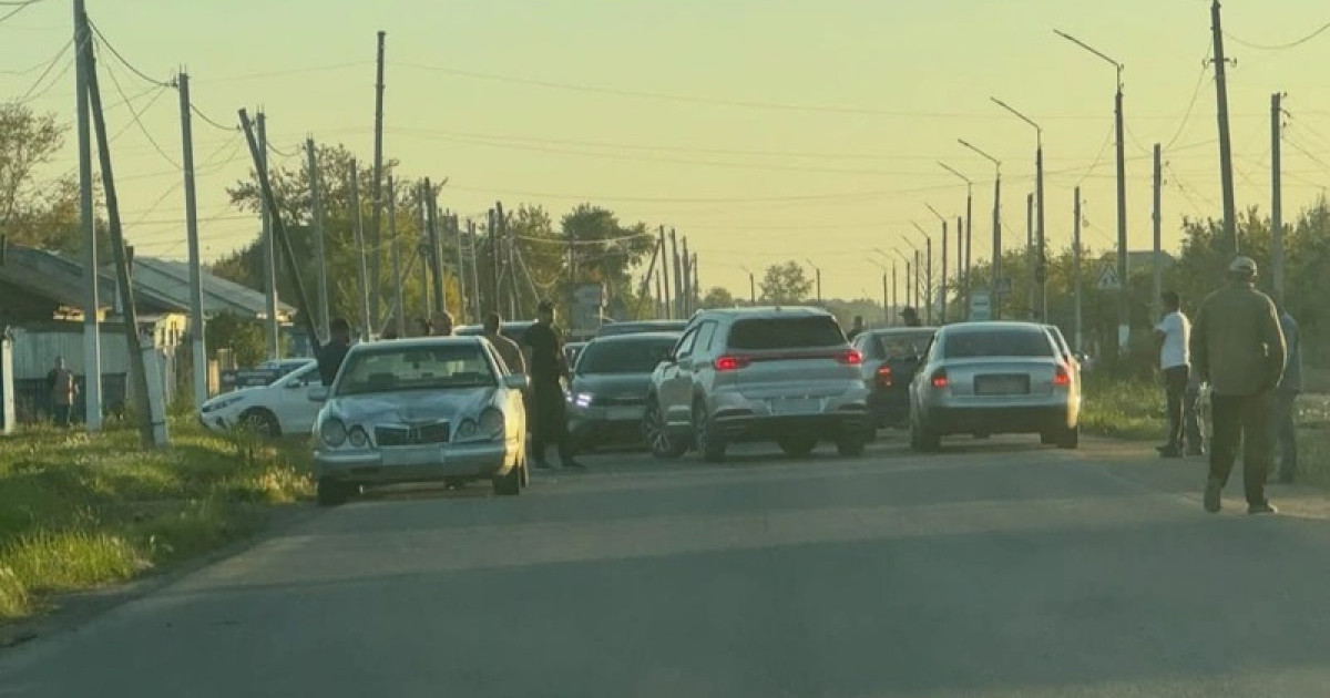 Ақмола облысында көлік қағып кеткен 8 жастағы қыз көз жұмды