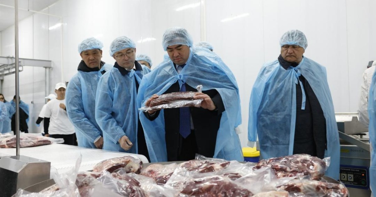Алматы облысында ет өңдеу зауыты мен жаңа трассалық кешен ашылды