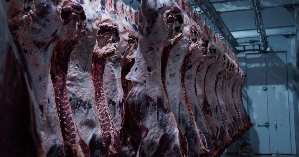 Елімізде ет, сүт және жұмыртқа өндірісі артты